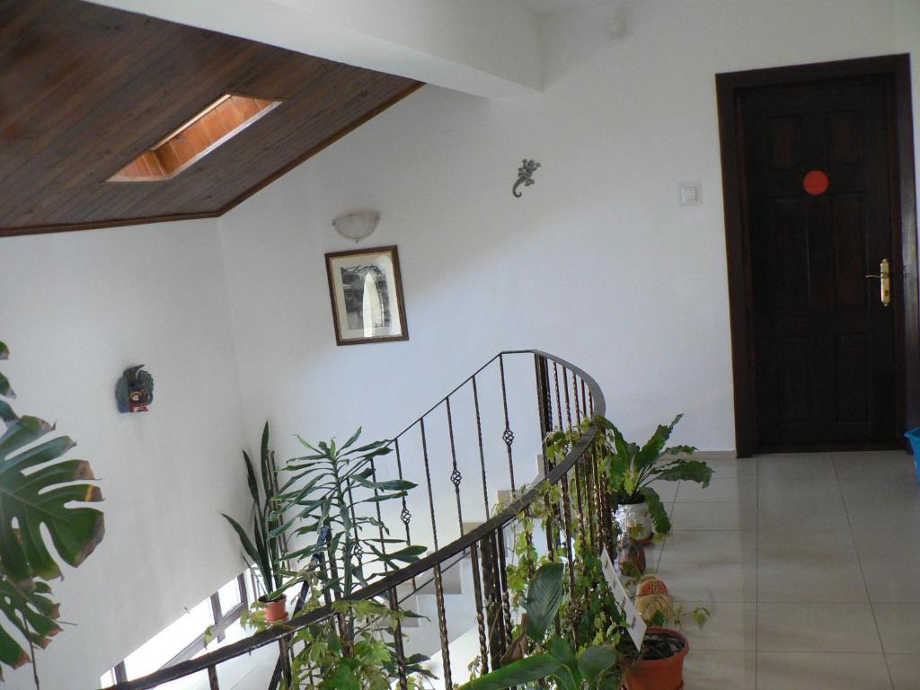 Casa Havana (Adults Only) Costinesti Exterior photo