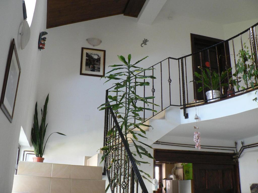 Casa Havana (Adults Only) Costinesti Exterior photo