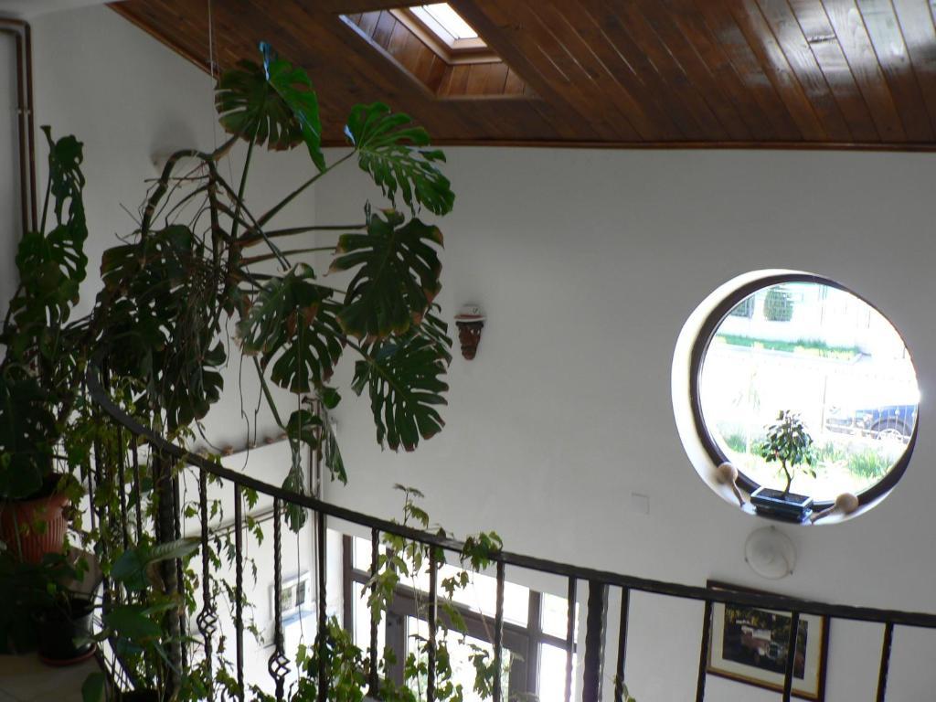 Casa Havana (Adults Only) Costinesti Exterior photo