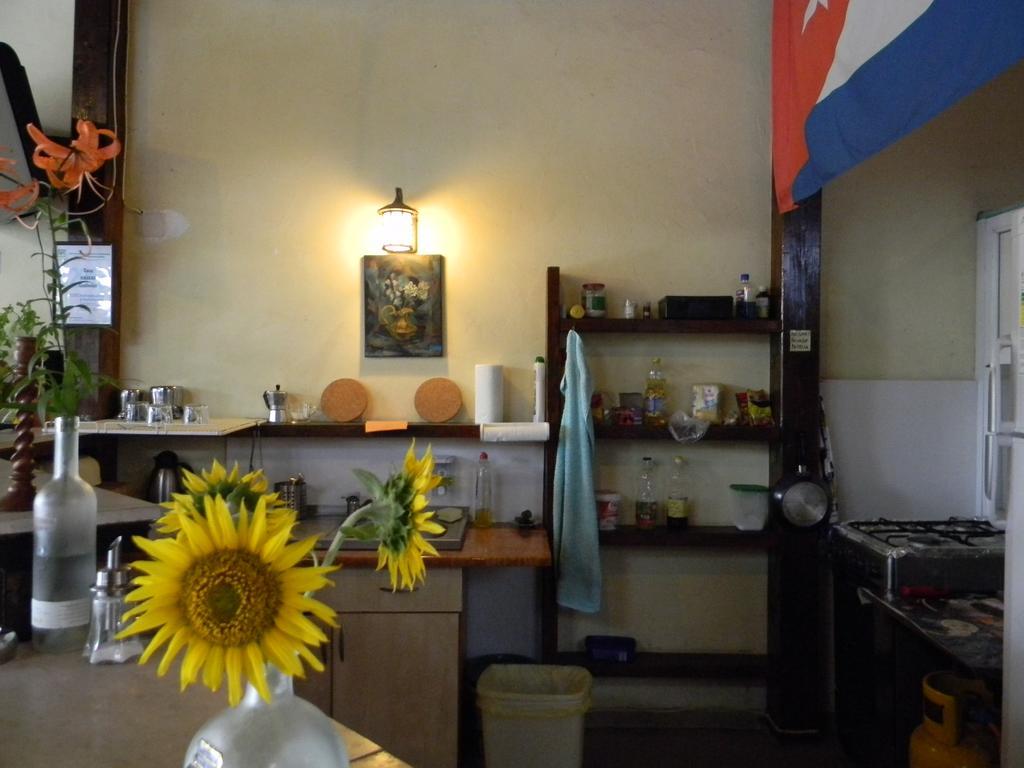 Casa Havana (Adults Only) Costinesti Exterior photo